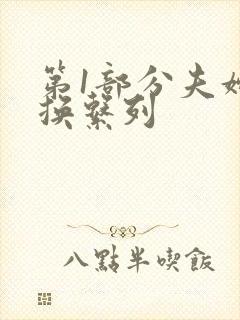 第1部分夫妇交换系列封面