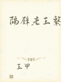 隔壁老王系统封面