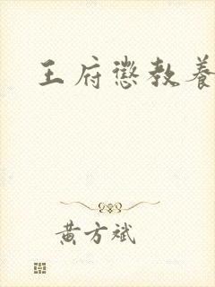 王府惩教养日常