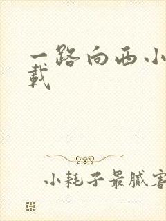 一路向西小说下载