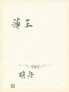 薄王封面