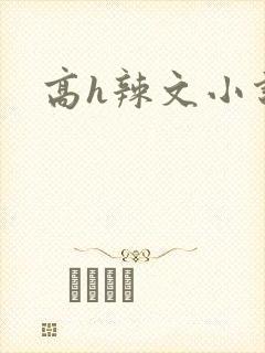 高h辣文小说封面
