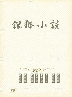 银狐小说