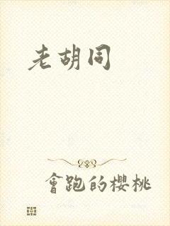 老胡同