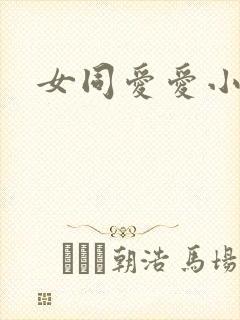 女同爱爱小说封面