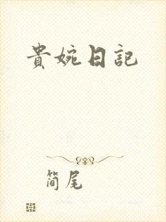 贵婉日记封面