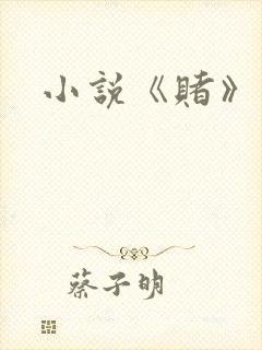 小说《赌》