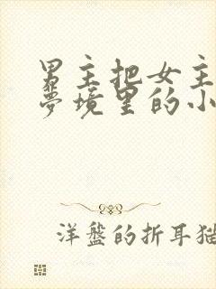 男主把女主拖进梦境里的小说
