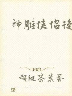 神雕侠侣后传封面