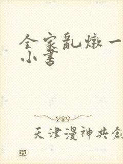 全家乱炖一锅烩小书