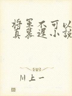 将军不可以魏云真慕迟小说笔趣阁封面