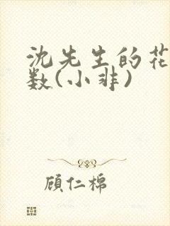 沈先生的花式调数(小非)封面