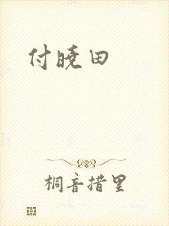 付晓田