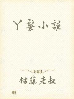 丫鬟小说