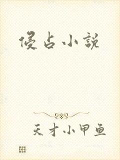 侵占小说
