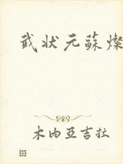 武状元苏灿封面