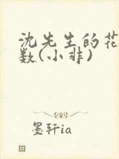 沈先生的花式调数(小非)