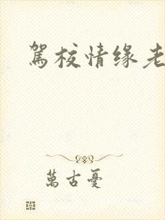 驾校情缘老赵封面