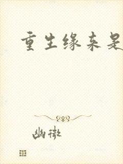 重生缘来是你封面