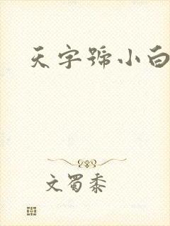 天字号小白脸封面