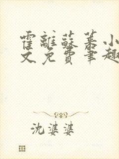 霍离苏莱小说全文免费笔趣阁封面