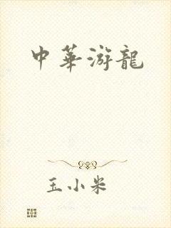 中华游龙封面