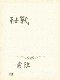 秘战