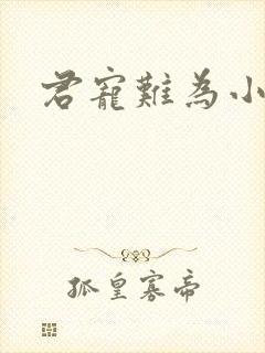 君宠难为小说