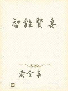 智能贤妻