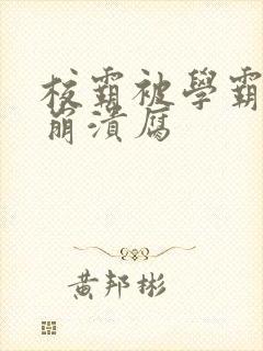 校霸被学霸玩到崩溃腐封面