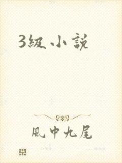 3级小说