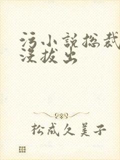 污小说总裁整夜没拔出