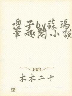 傻子by苏玛丽笔趣阁小说封面