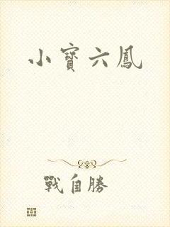 小宝六凤