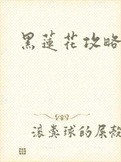 黑莲花攻略手册封面