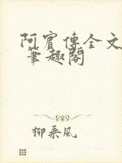 阿宾传全文阅读 笔趣阁