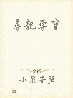 寻龙夺宝