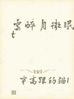 云醉月微眠txt