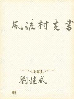 风流村支书封面