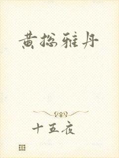 黄总雅丹封面