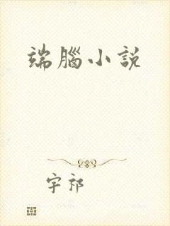 端脑小说封面