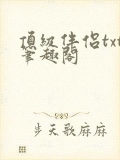 顶级伴侣txt笔趣阁封面
