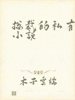 总裁的私有宝贝小说
