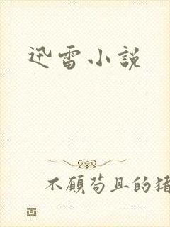 迅雷小说