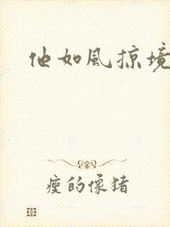 他如风掠境