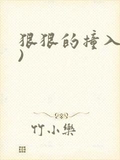 狠狠的撞入(h)