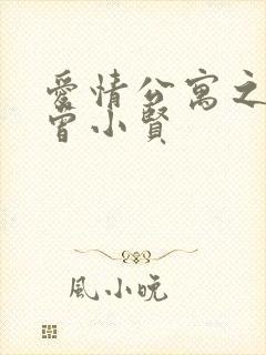 爱情公寓之极品曾小贤