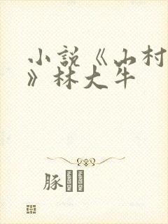 小说《山村情事》林大牛封面