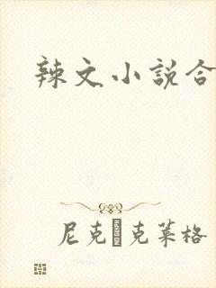 辣文小说合集