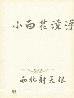 小白花浇灌日常